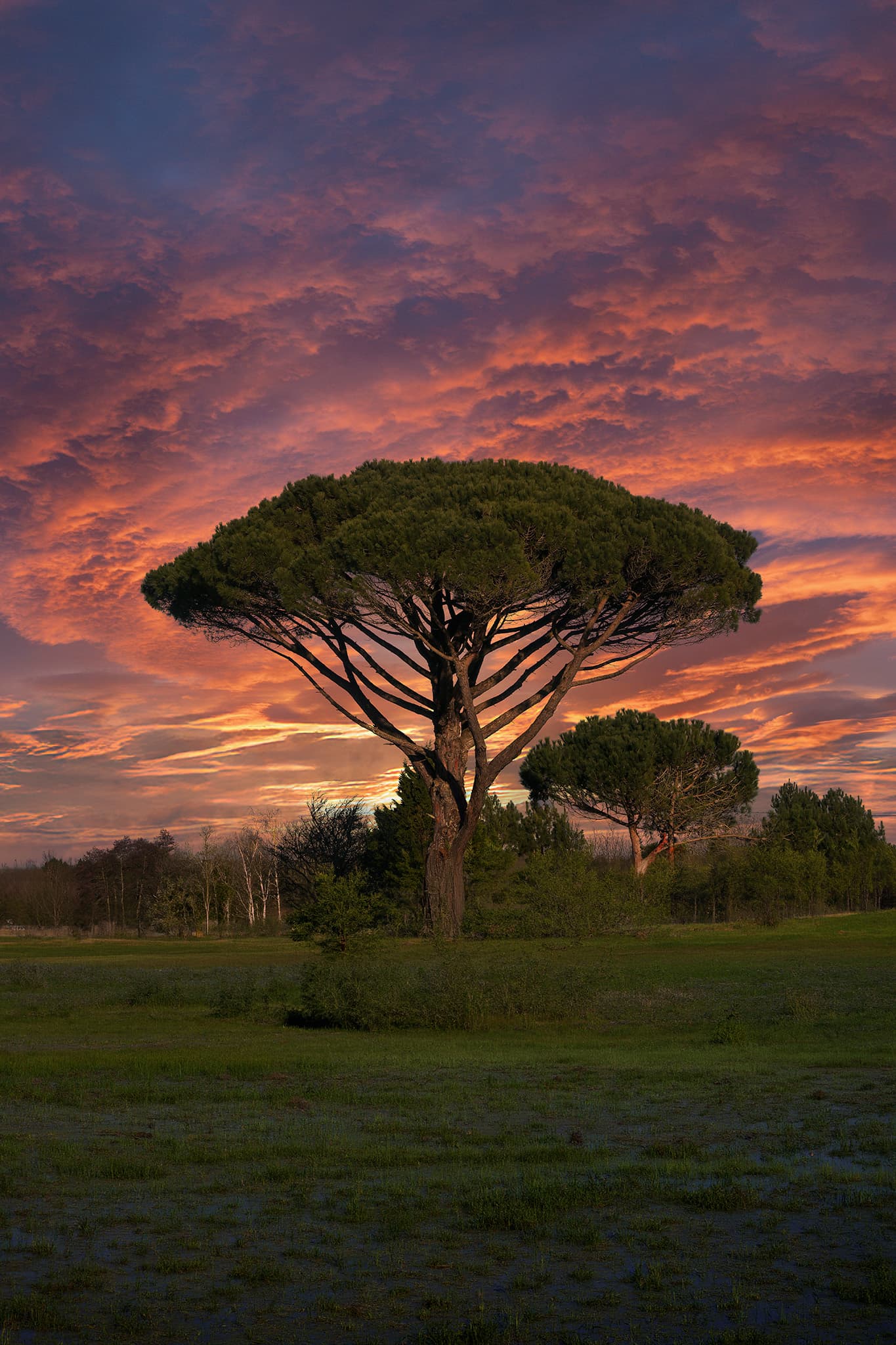 Le gardien du soir